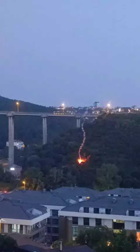 Beykoz'da ormanlık alanda yangın çıktı