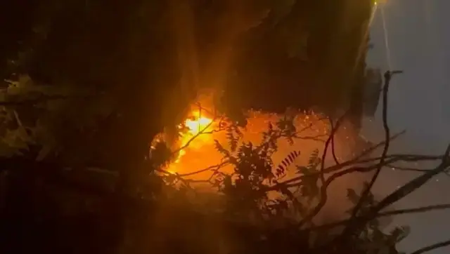 Beykoz'da ormanlık alanda yangın çıktı