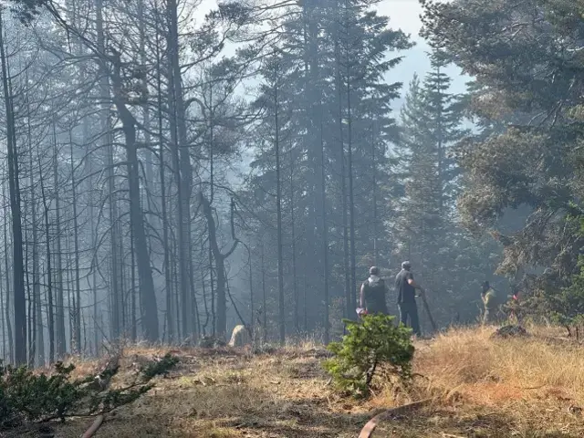 Bursa'da acı tablo! Yangının bıraktığı tahribat havadan görüntülendi