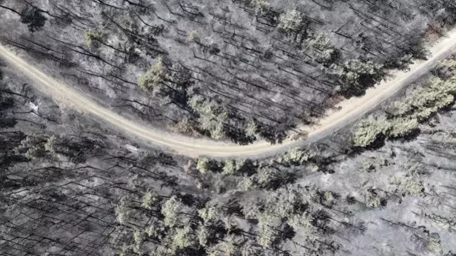 Bursa'da acı tablo! Yangının bıraktığı tahribat havadan görüntülendi