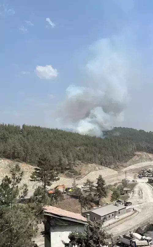Bursa'da yangın kabusu geri döndü! Alevler yeniden yükseldi