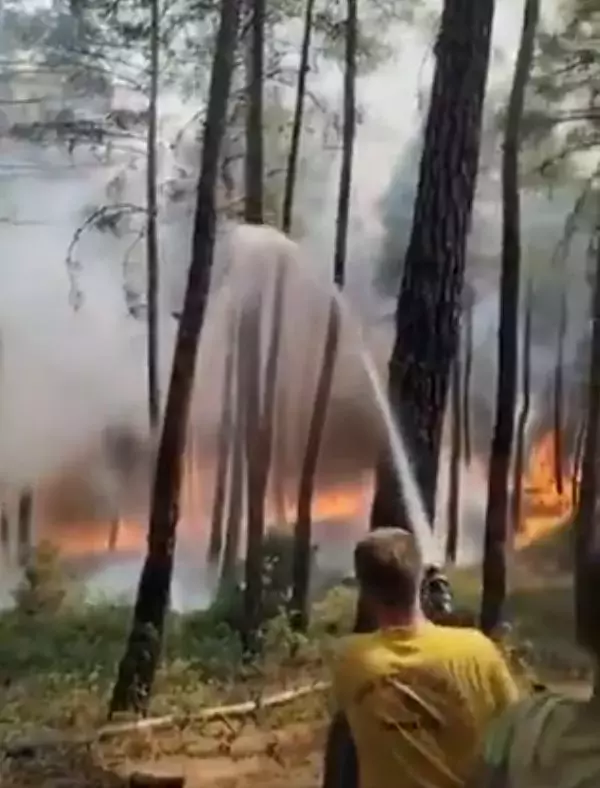 Bursa'da yangın kabusu geri döndü! Alevler yeniden yükseldi