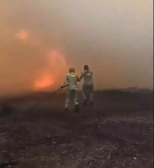 Bursa'da yangın kabusu geri döndü! Alevler yeniden yükseldi