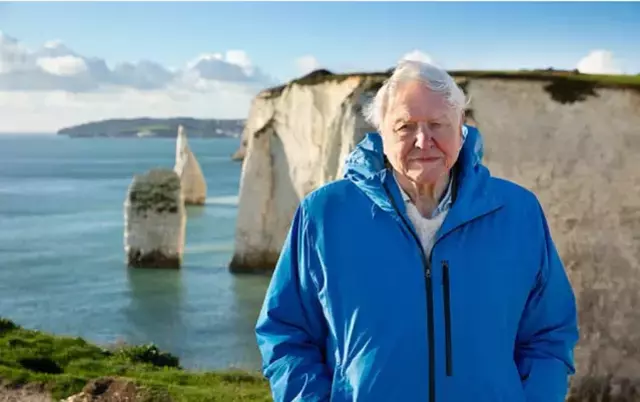 Doğanın korkunç yüzü: Binlerce örümcek yavrusu annelerini canlı canlı yedi!