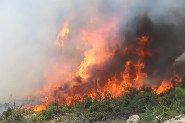 İzmir ve Bursa'da ciğerlerimiz alev alev yanıyor
