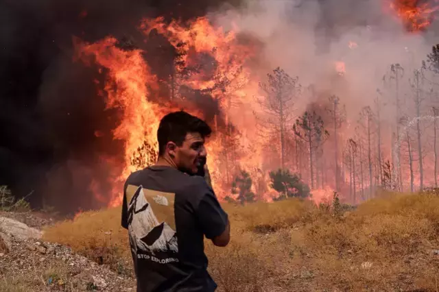 İzmir ve Bursa'da ciğerlerimiz alev alev yanıyor
