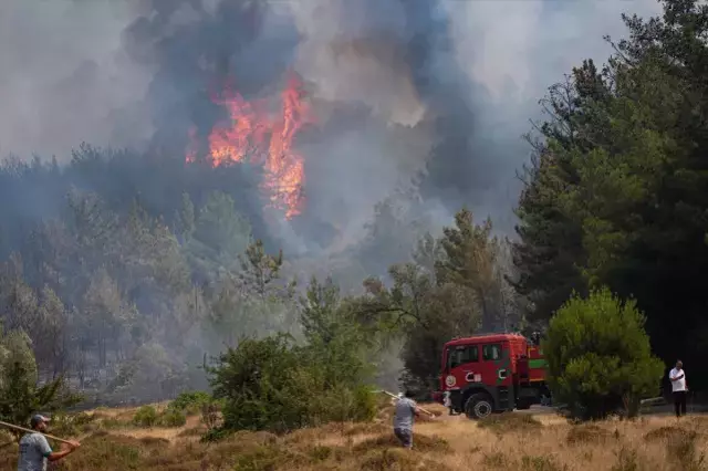 İzmir ve Bursa'da ciğerlerimiz alev alev yanıyor