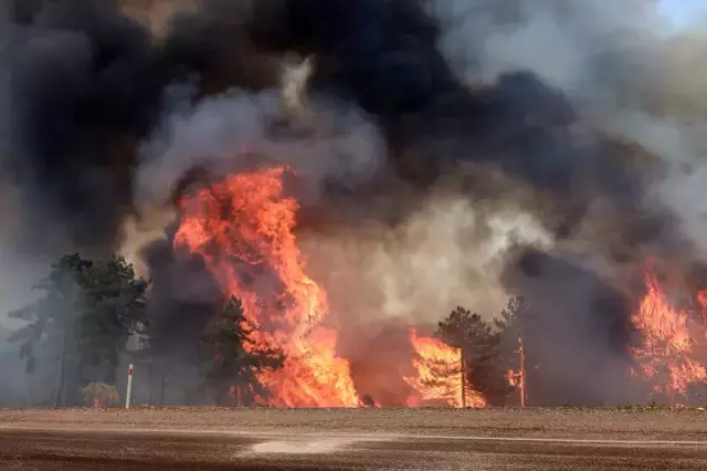 İzmir ve Bursa'da ciğerlerimiz alev alev yanıyor