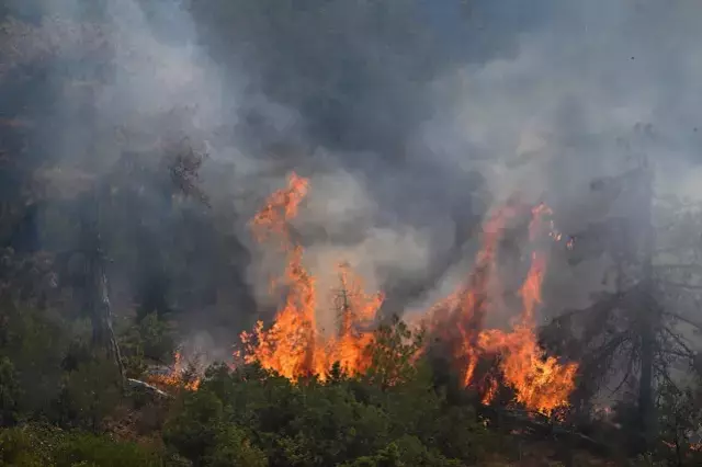 Karabük'te ormanlık alanda yangın! İki köy tahliye edildi