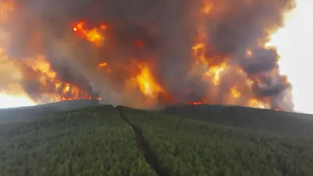 Karabük'te ormanlık alanda yangın! İki köy tahliye edildi