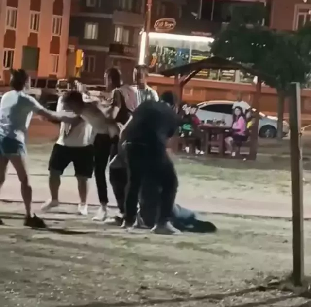 Parkta birbirlerine tekme ve yumruklarla saldırdılar