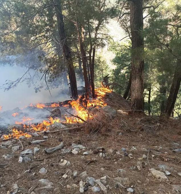 Adana'da Orman Yangını Çıkaran 3 Şüpheli Yakalandı
