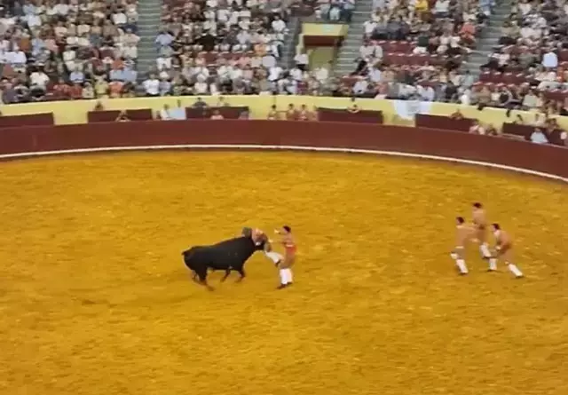 Boğa güreşçisi boynuz darbesiyle hayatını kaybetti, seyirci kalp krizi geçirdi