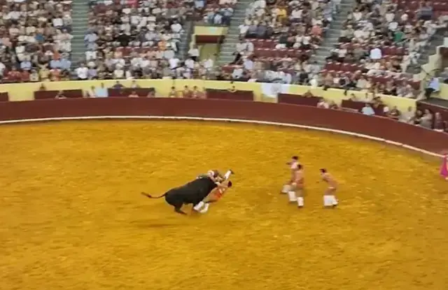 Boğa güreşçisi boynuz darbesiyle hayatını kaybetti, seyirci kalp krizi geçirdi