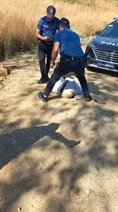 Çayırlık alanda yangın çıkarıp itfaiyecilere saldırdı