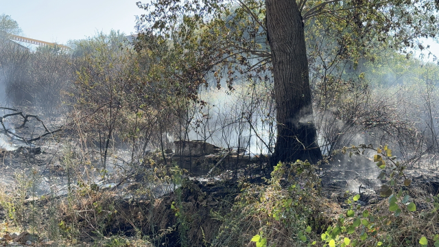 Çayırlık alanda yangın çıkarıp itfaiyecilere saldırdı