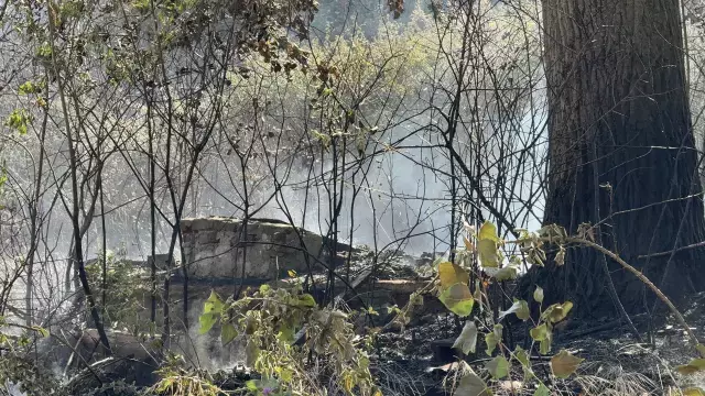 Çayırlık alanda yangın çıkarıp itfaiyecilere saldırdı