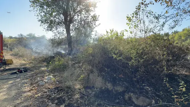 Çayırlık alanda yangın çıkarıp itfaiyecilere saldırdı