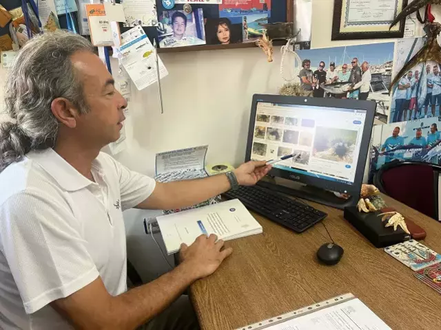 Denizlerimizde sessiz istilacı: Dikenleri zehirli, acısı saatlerce sürüyor