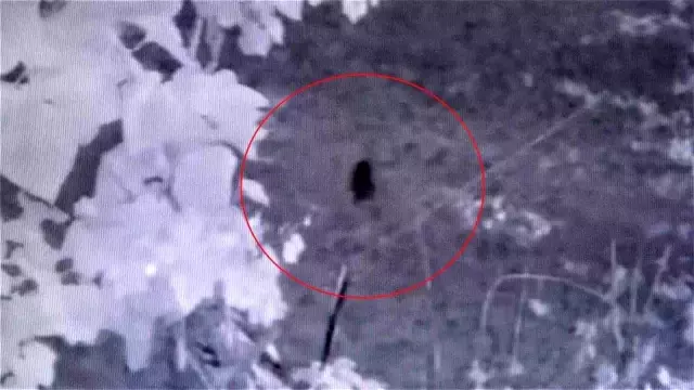 Fındığının çalındığını sandı, kameraları izleyince şoke oldu