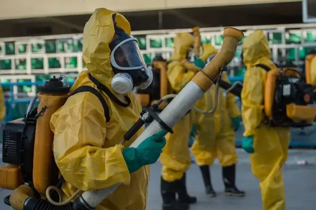 Hong Kong, Chikungunya Virüsü ile Mücadelede Robot Köpek Kullanacak