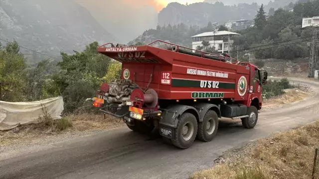 Kara yolunda çıkan yangın ormanlık alana sıçradı