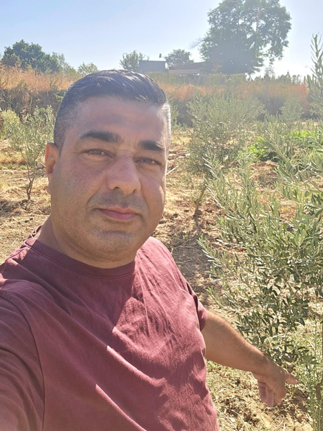 Manisa'da zeytin bahçesinde asırlık top mermisi bulundu