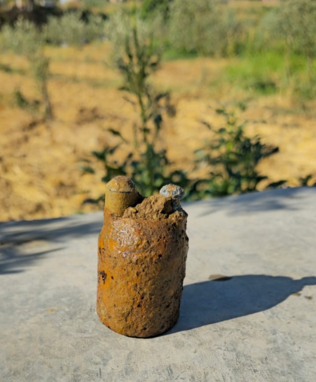 Manisa'da zeytin bahçesinde asırlık top mermisi bulundu