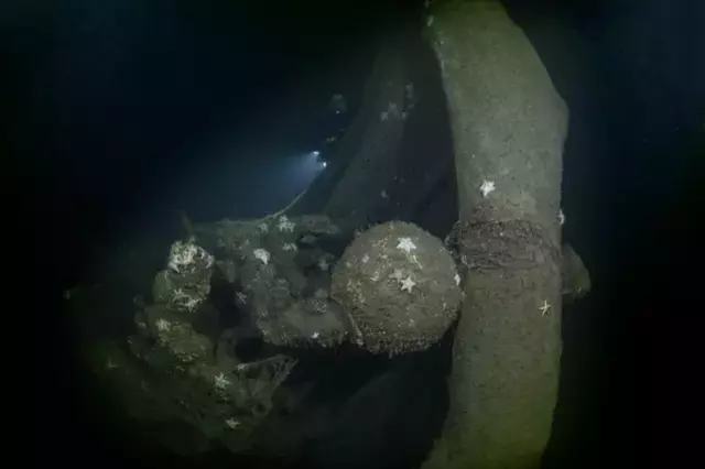 Marmara Depremi'nin 'Batık Şehri' 26 Yıl Sonra Gün Yüzüne Çıkarıldı