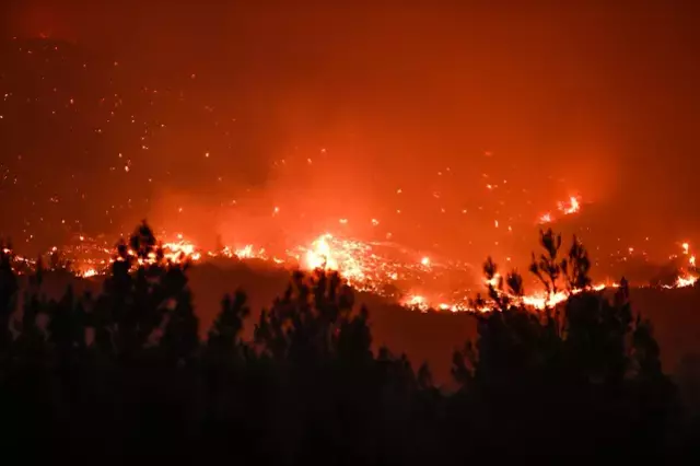 Mersin'de 15 bin dönüm ormanlık alan, işçiler yüzünden küle dönmüş