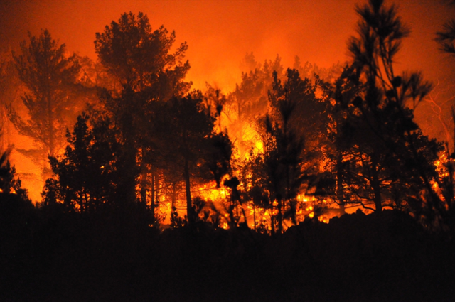 Mersin'de 15 bin dönüm ormanlık alan, işçiler yüzünden küle dönmüş