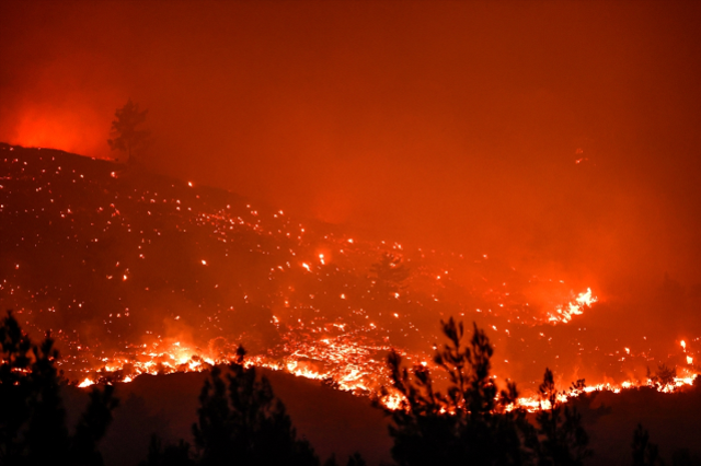 Mersin'de 15 bin dönüm ormanlık alan, işçiler yüzünden küle dönmüş