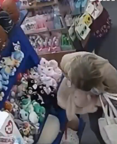 Peluş oyuncakları pantolonuna doldurarak çaldı