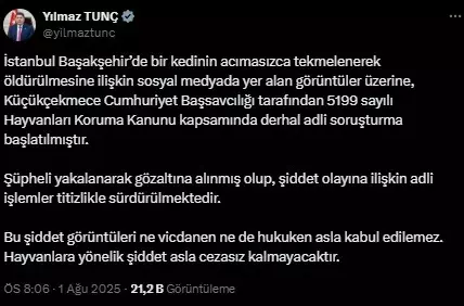 Sokak kedisini dakikalarca eziyet ederek öldürdü