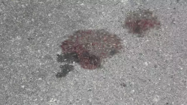 Trabzon'da düğün merasiminde ateş açılması sonucu 1 kişi hayatını kaybetti