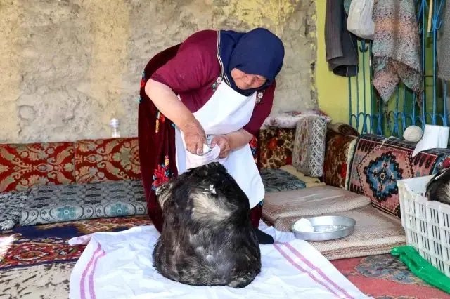 Bu peynir ne çürüyor ne kuruyor! 5 ay sonra mağaralardan şenlikle çıkarılacak