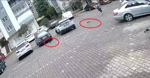 Genç kadın peşindekilerden dakikalarca kaçtı, videoyu izleyen gülmekten kıldı
