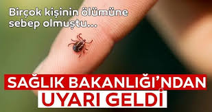 Sağlık Bakanlığı’ndan Kene Uyarısı: Yaz Aylarında Dikkat Edilmesi Gerekenler