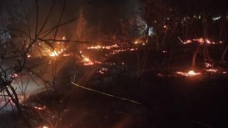 Mersin’de orman yangını