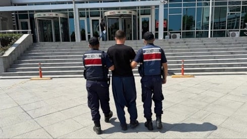 Bahçenizdeki bu ağaçları sakın kesmeyi düşünmeyin! Evinizin düşmanı oluyor