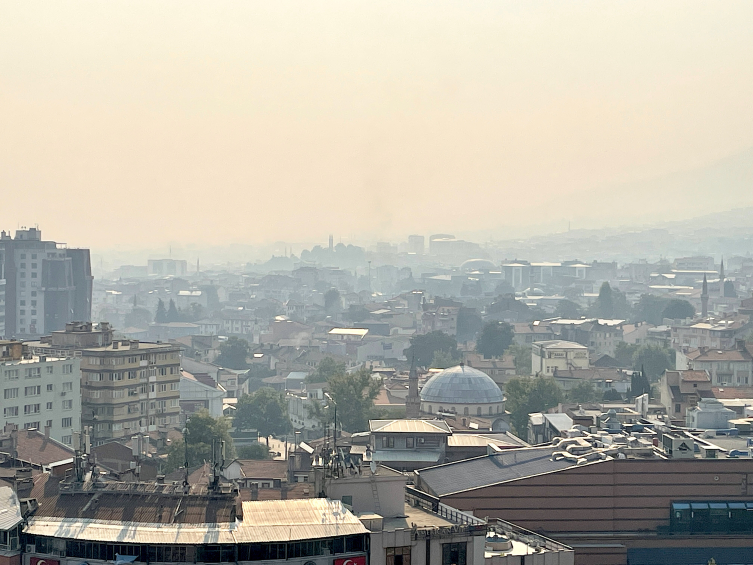 Sakarya'daki orman yangınıyla mücadele 4 gündür sürüyor