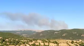 Afyonkarahisar’da Orman Yangını Çıktı