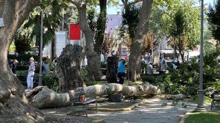 Ağaçtan kopan dal üzerlerine düştü: 1 ölü, 2 yaralı