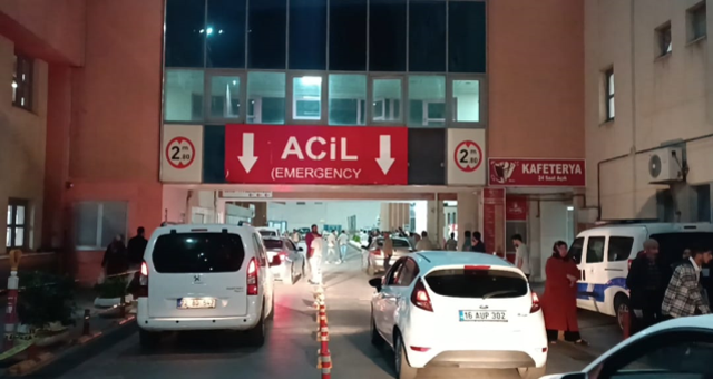 Annesini bıçaklayan kardeşini silahla öldürüp kaçtı – Haberler