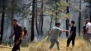 İstanbul’da Aydos Ormanı’nda yangın