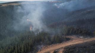 Balıkesir’de çıkan orman yangını kontrol altında