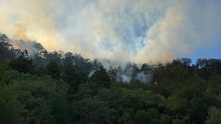 Bolu’nun Göynük ilçesinde çıkan orman yangını kontrol altına alındı