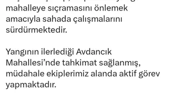 Bursa’da Orman Yangını Avdancık Mahallesi’ne Yaklaşıyor