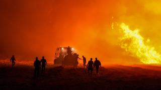 Yeşil Vatan’ı korumak için rehber hazırlandı