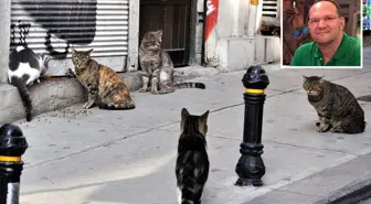 Akciğerine kedi tüyü kaçan adam hayatını kaybetti
